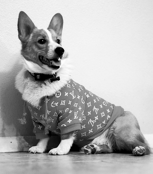 Seymour, Greeter
