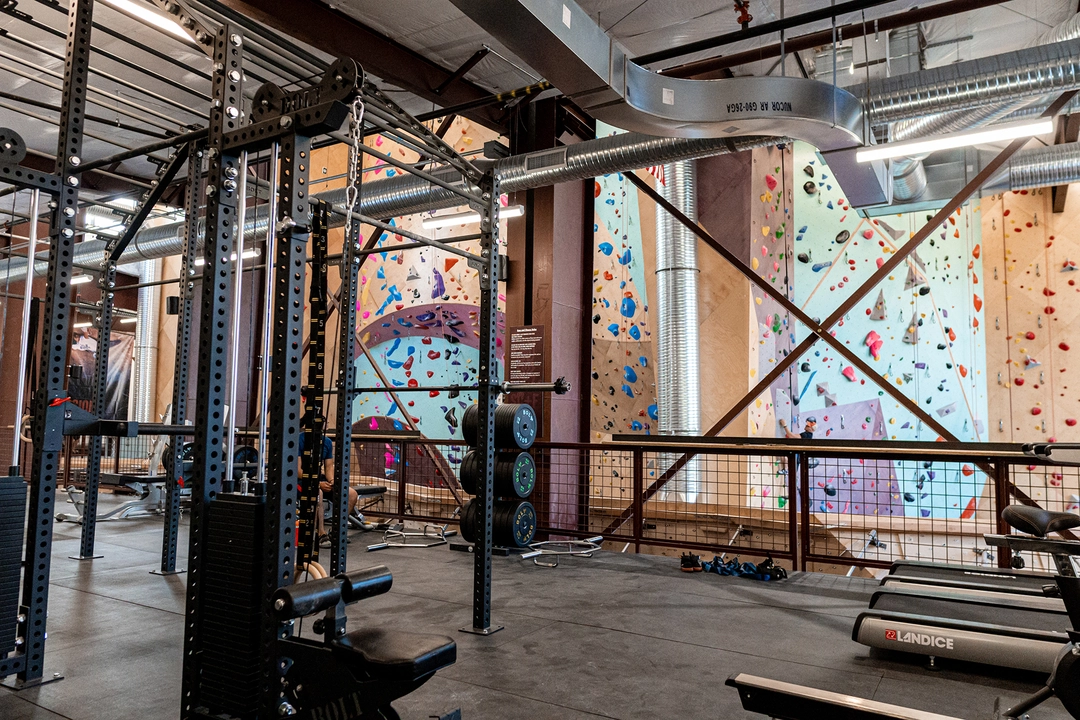 Climbing wall sections viewed from gym and cardio area.